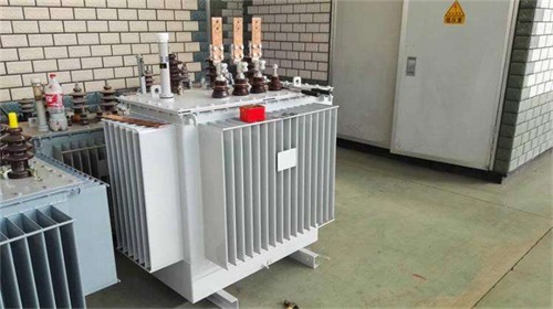 潮州S11-100KVA/10KV/0.4KV油浸式变压器